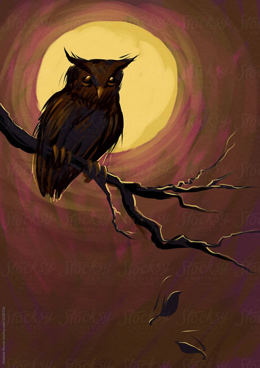 Spooky owl and red night
