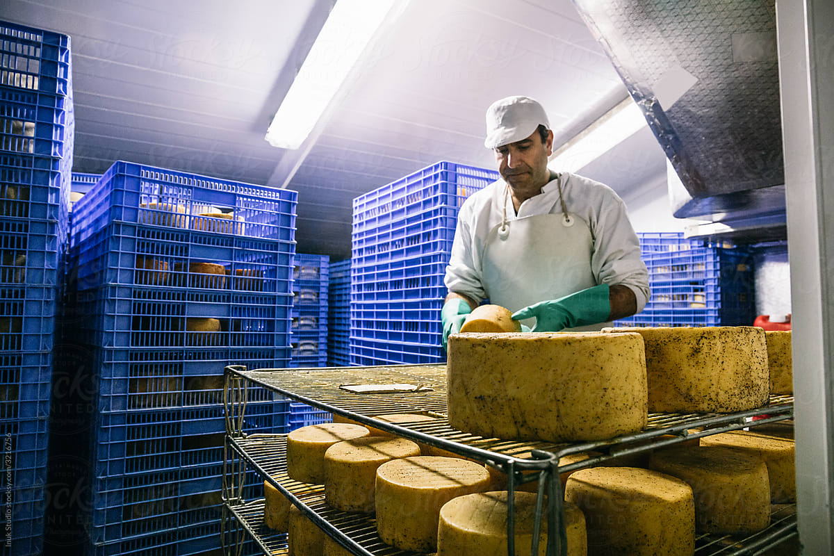 Man in cheese factory storage