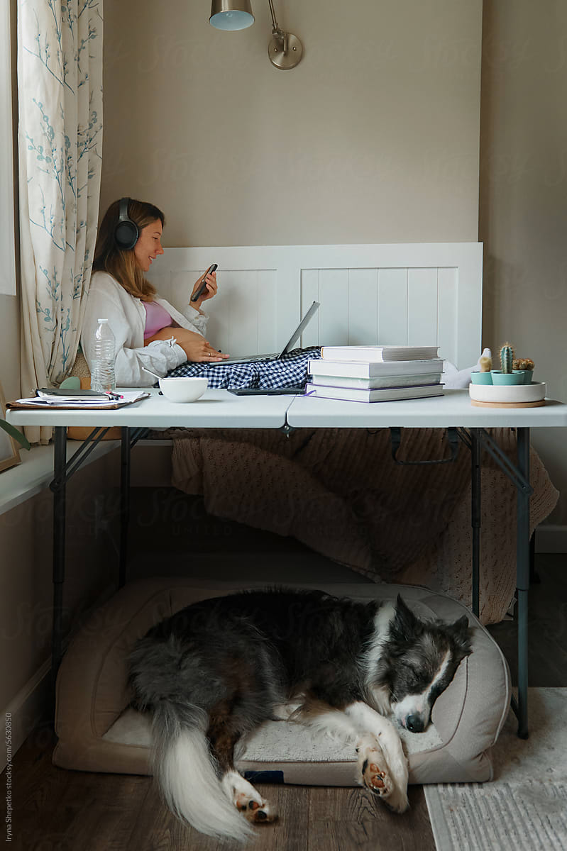 Pregnant woman works at home, a dog sleeps under the table