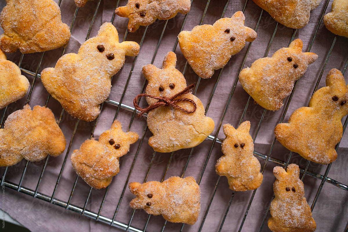 Traditional Easter bunny quark pastries