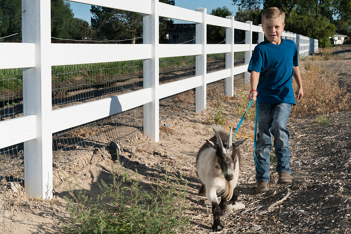 Young boy walking his goat