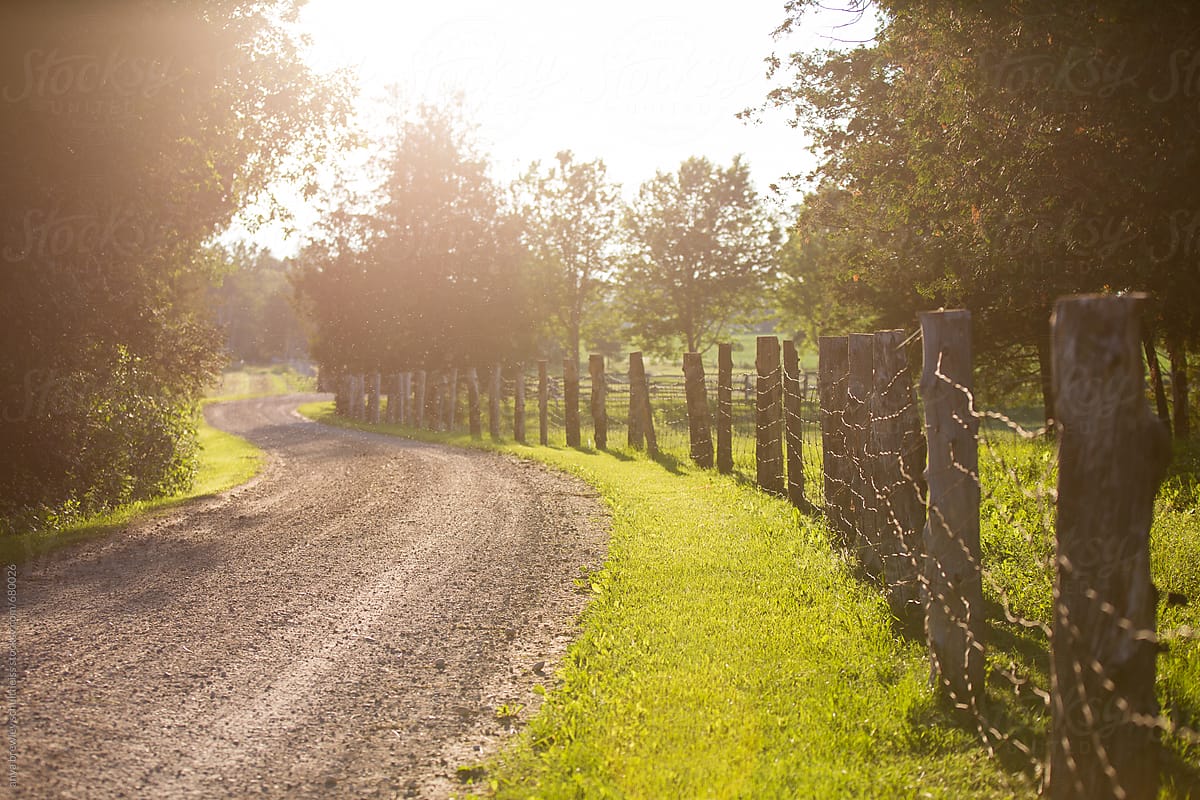 A curving country dirt road at golden hour