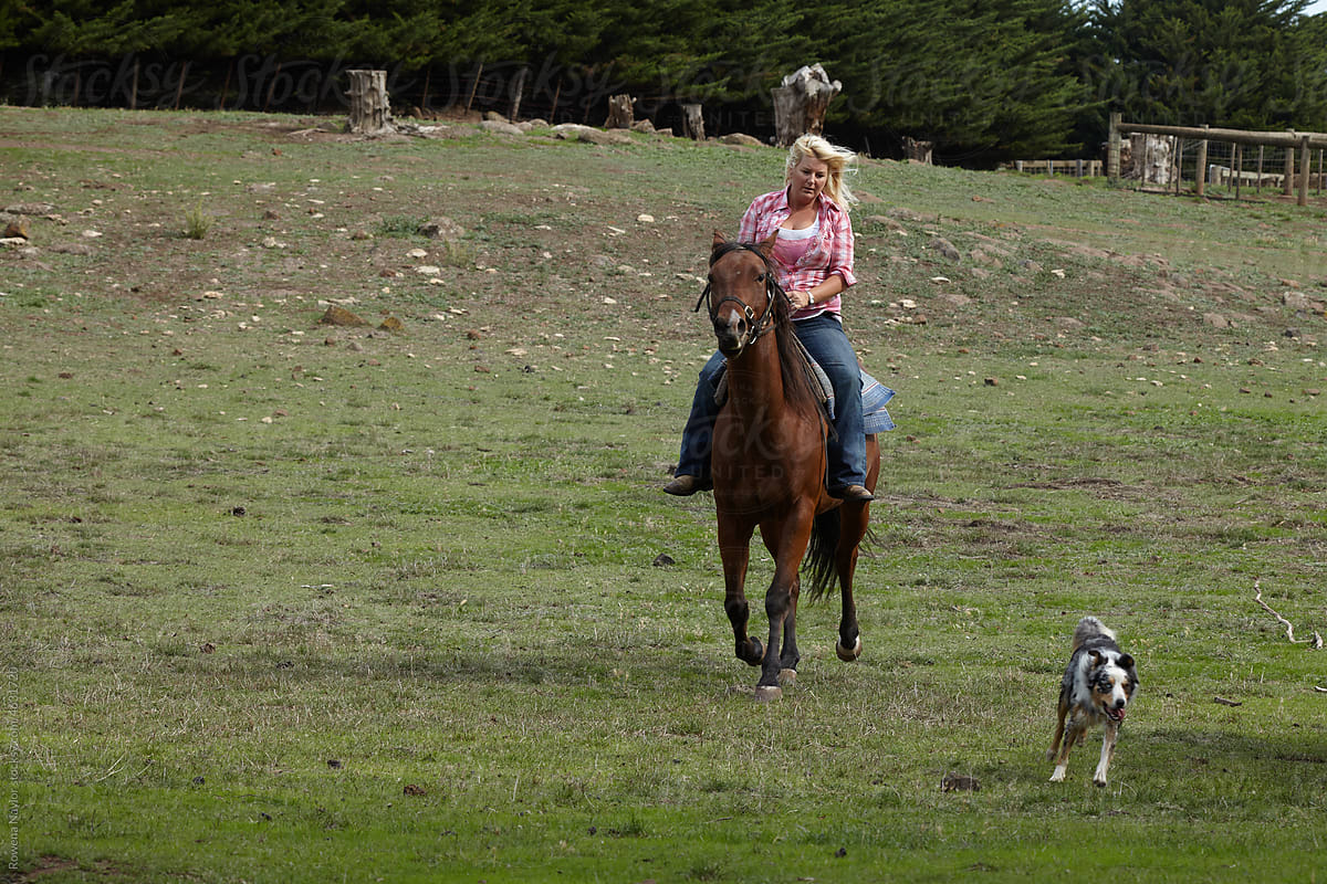 Woman rides horse with dog running alongside