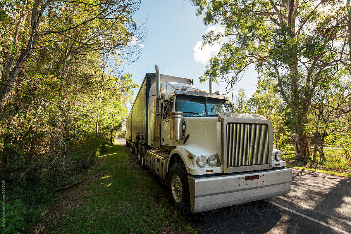 Big truck parked on rest area with trees and vegetation