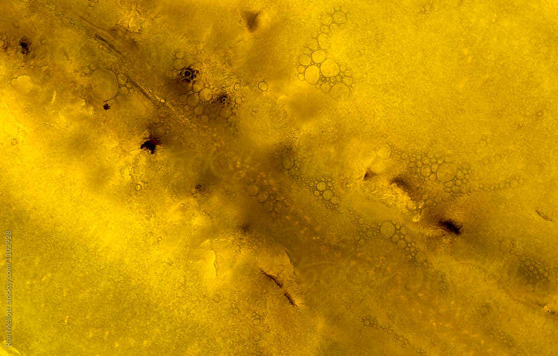 Closeup macrophotograph of the patterns and textures in a slice of banana (Musa sp.)