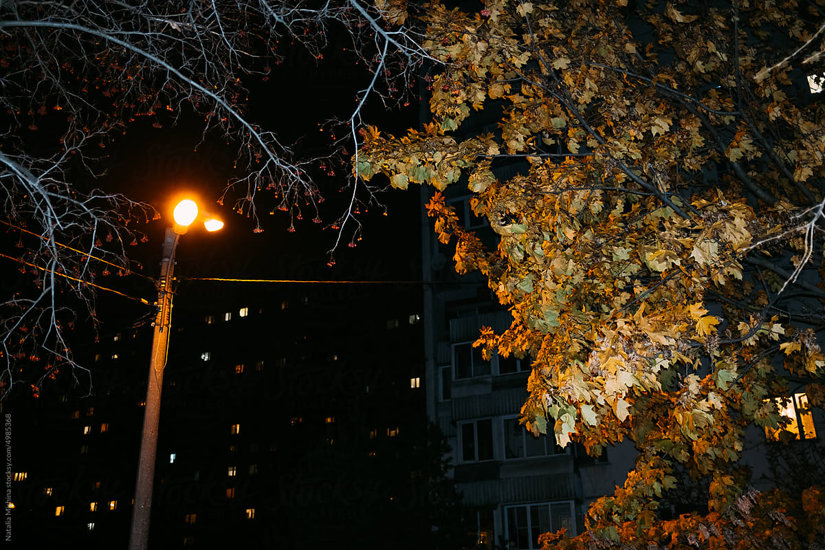 Night, residential area.