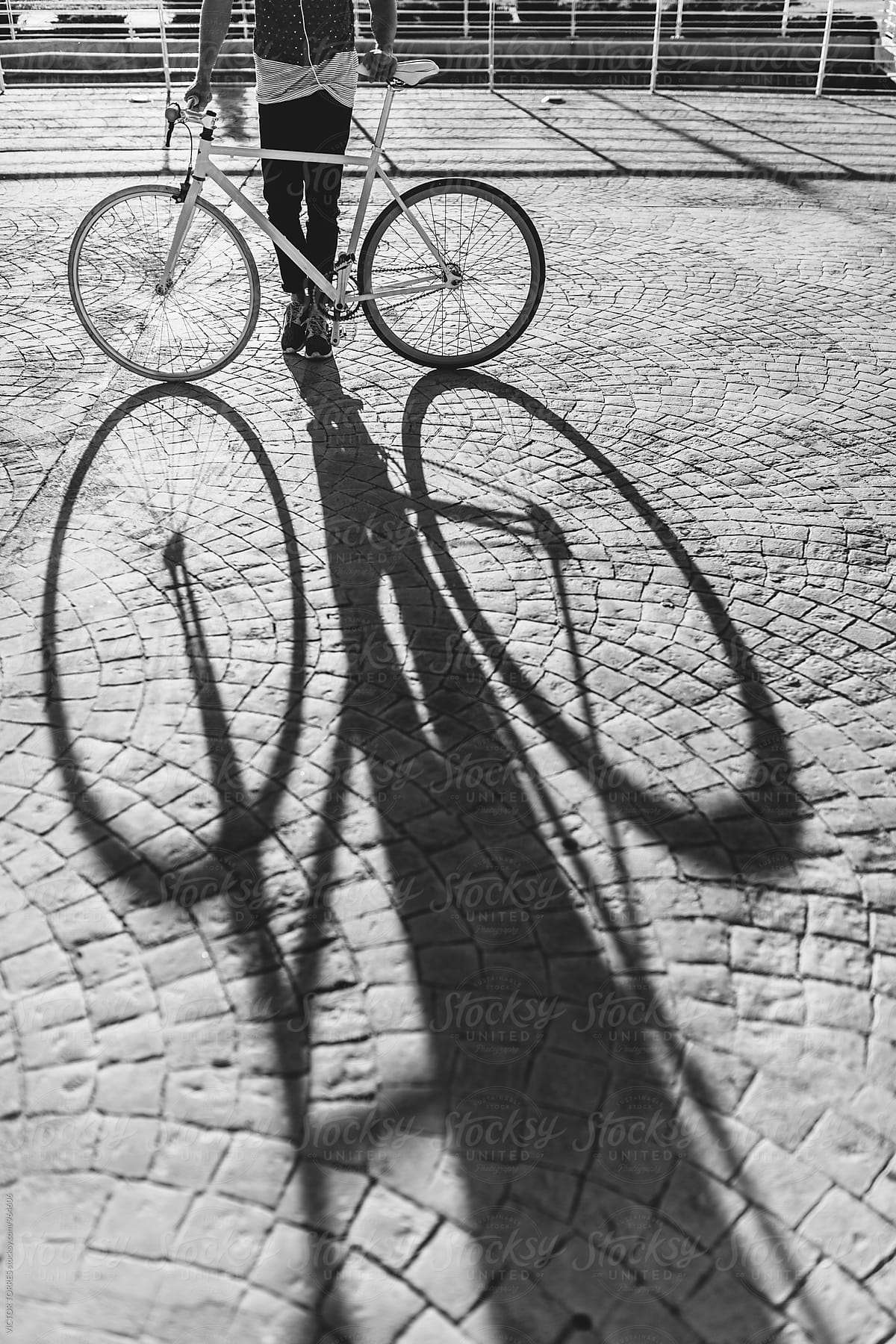 Shadow of a Bicycle on a Cobblestone Road