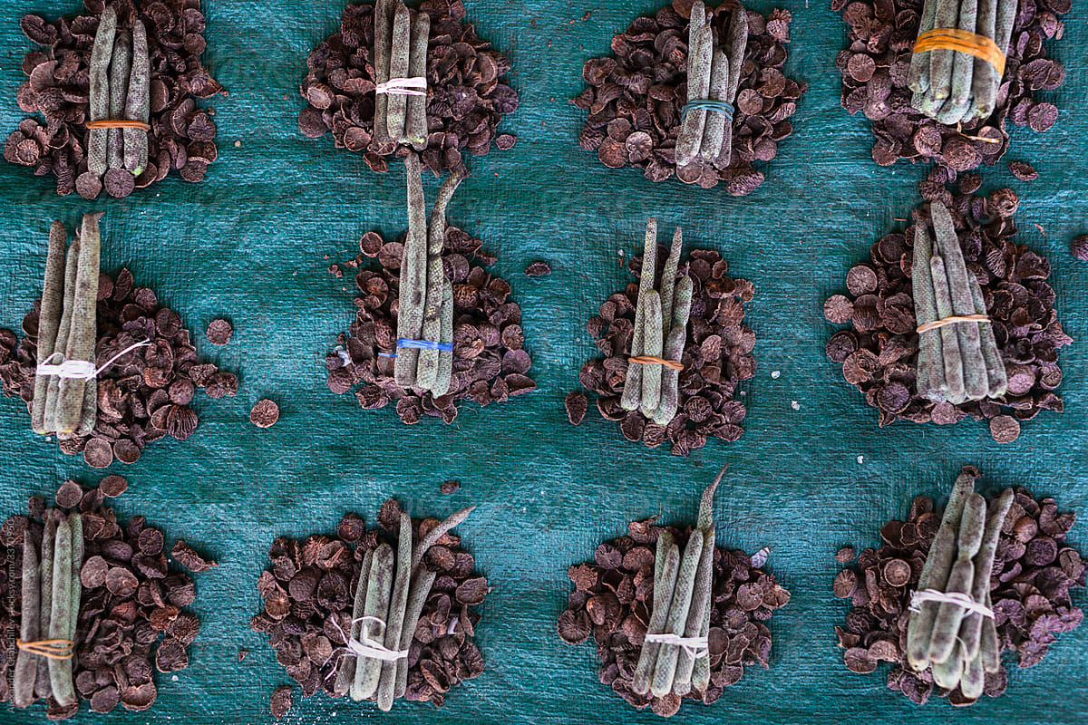 Betel Nut For Selling In A South-East Asia