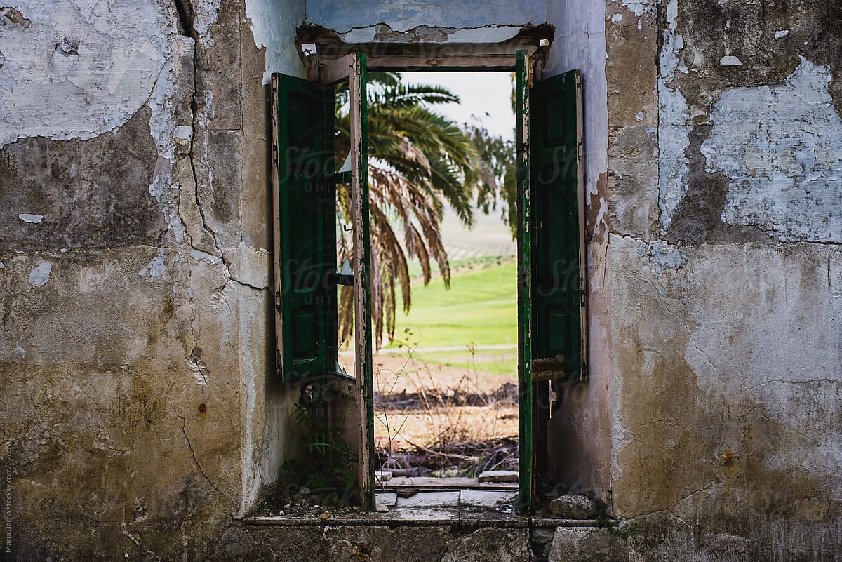 View of wild natural vegetation through a window in an abandoned country house