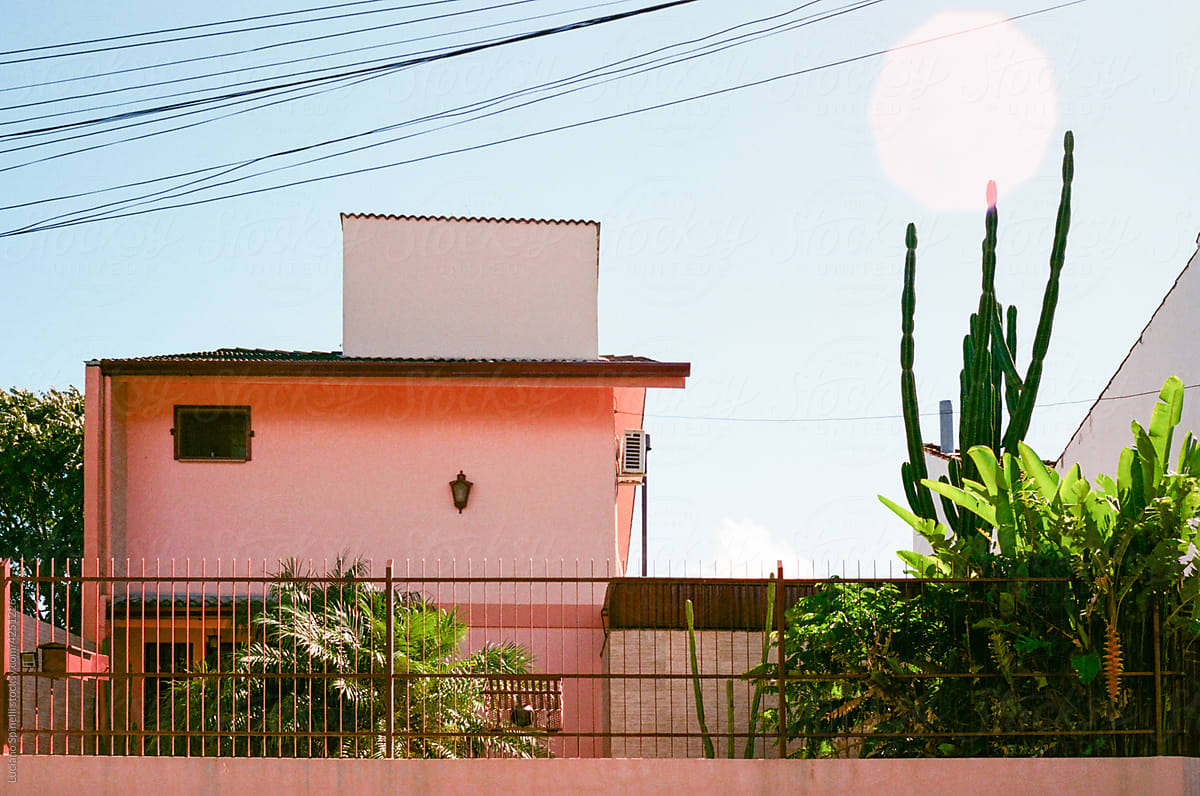 Tropical pink house with cactus and palms in the garden