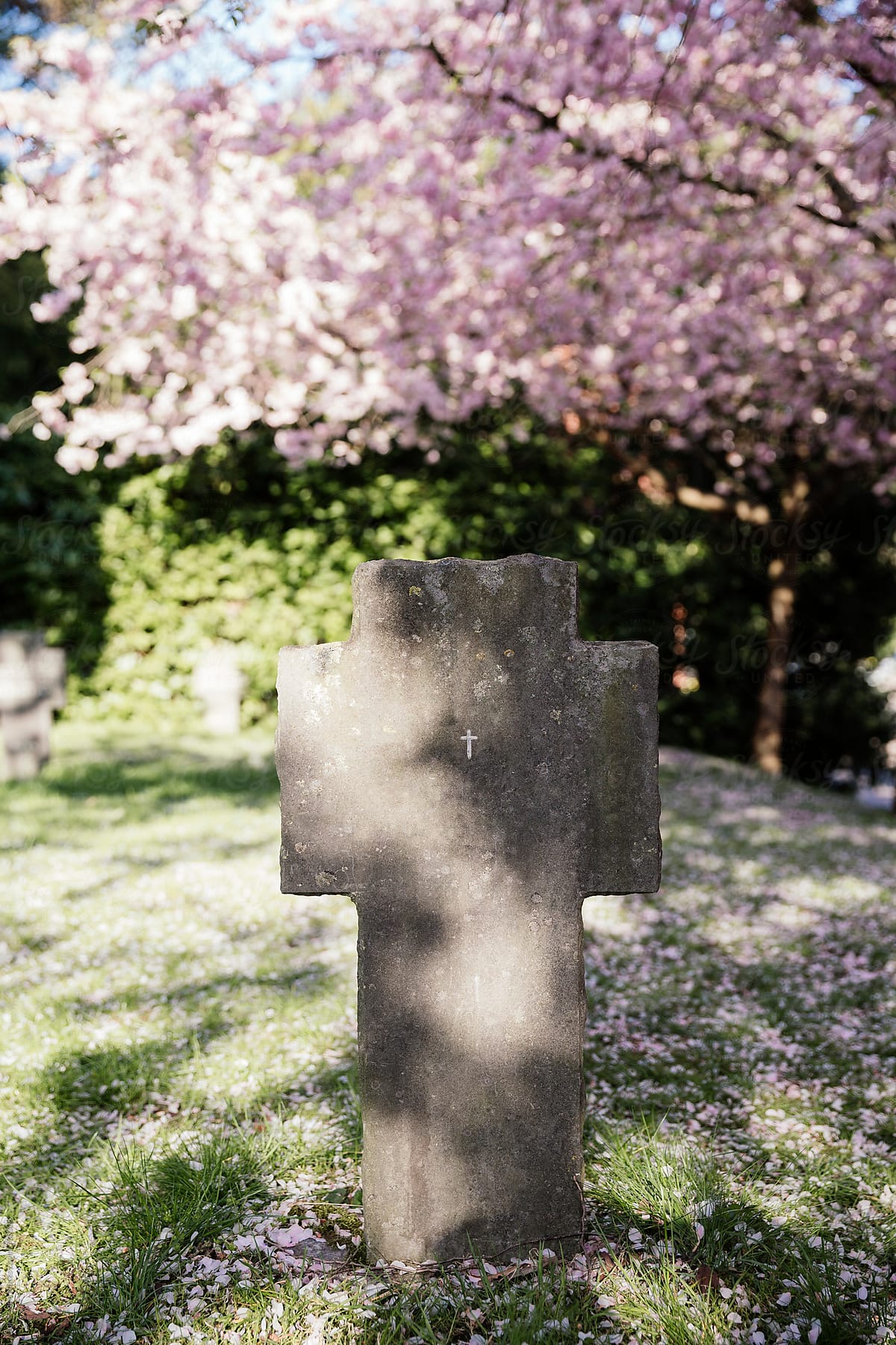 Anonymous cross shaped grave in a cemetery