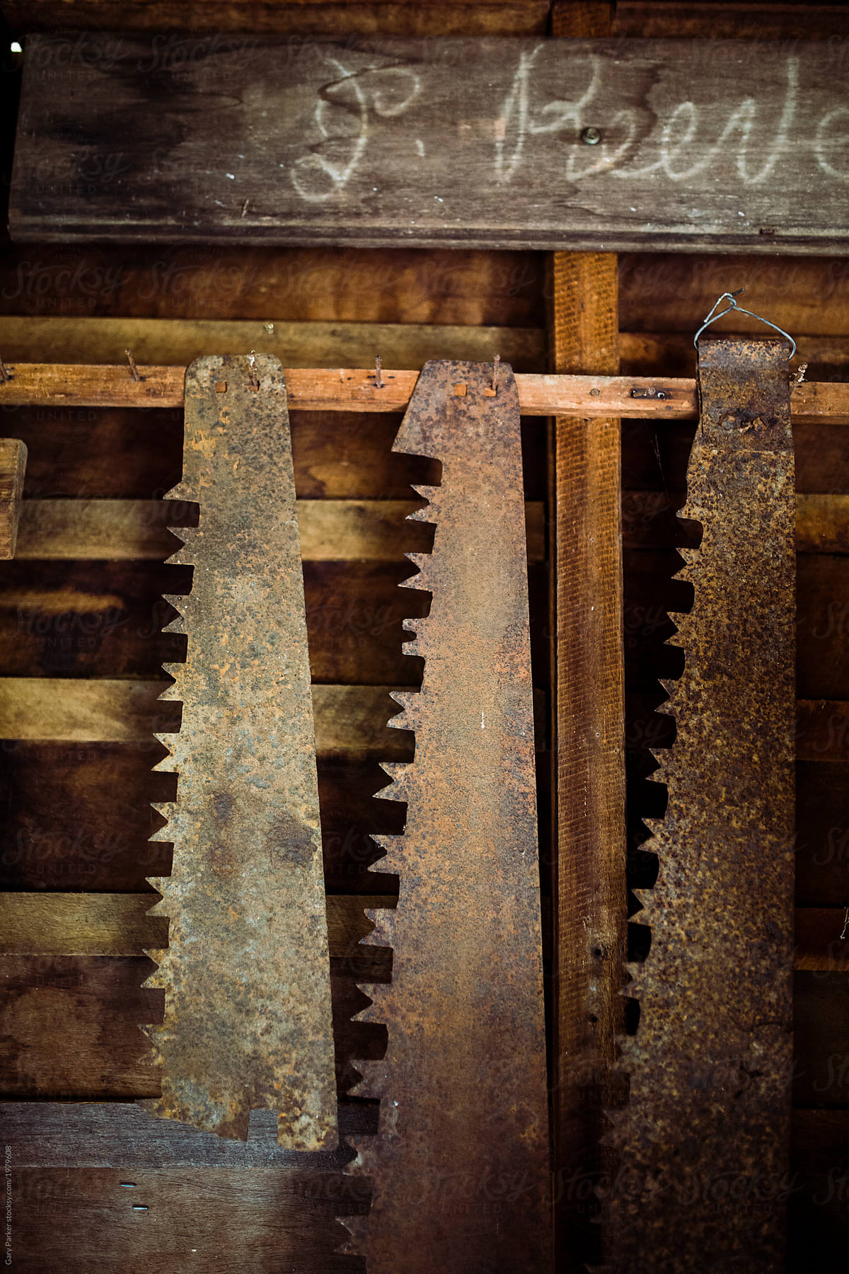Antique rusty saw blades