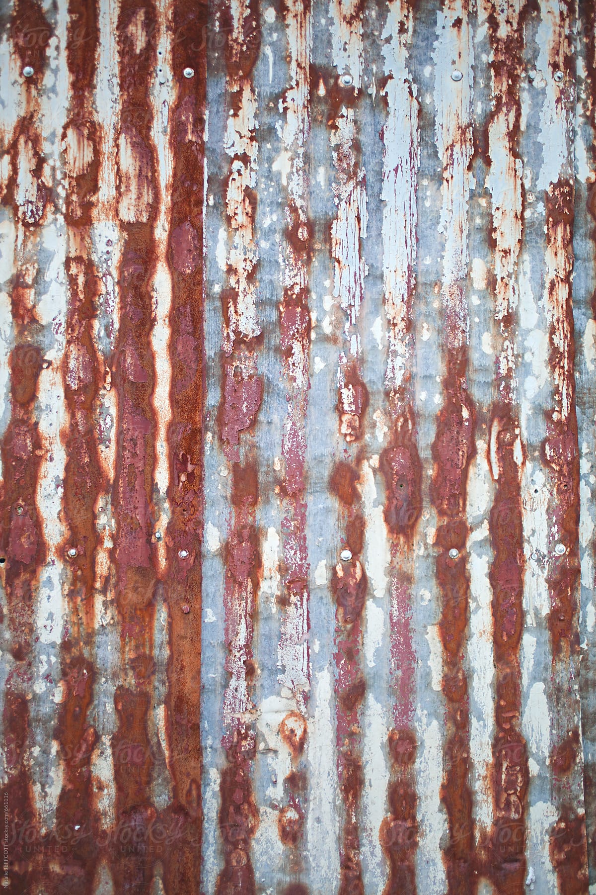 rusty corrugated tin textures on a fence and shed