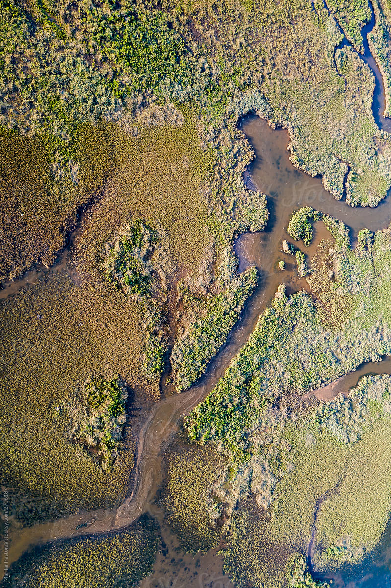 Marsh From Above