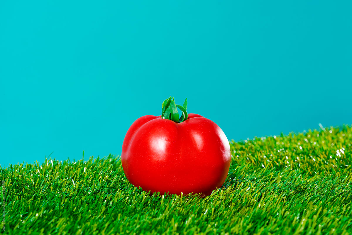 fake tomato on the grass