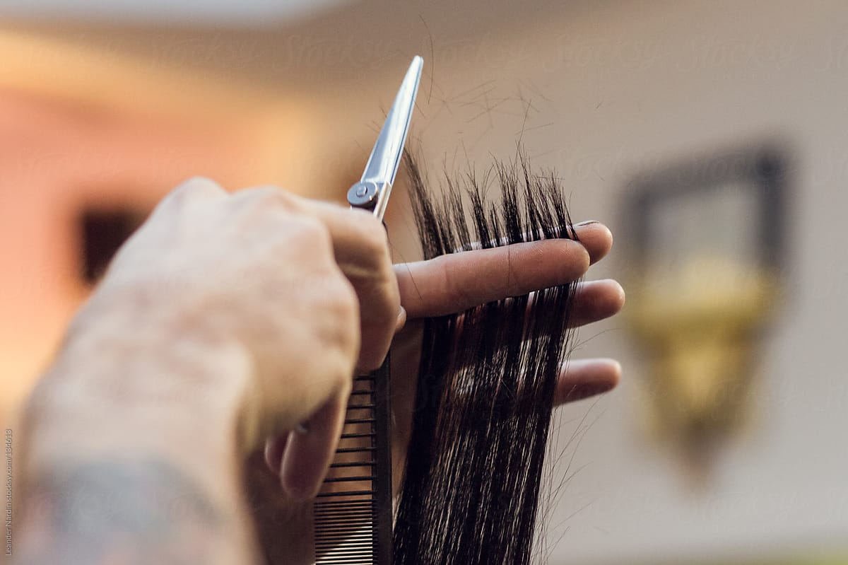 Close up of a hairdresser cutting hairs between his fingers