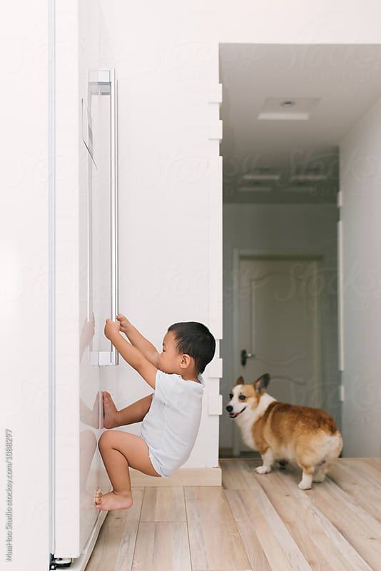 Toddler boy hanging on to door of the fridge
