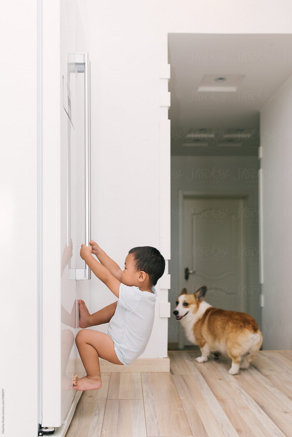 Toddler boy hanging on the door of fridge