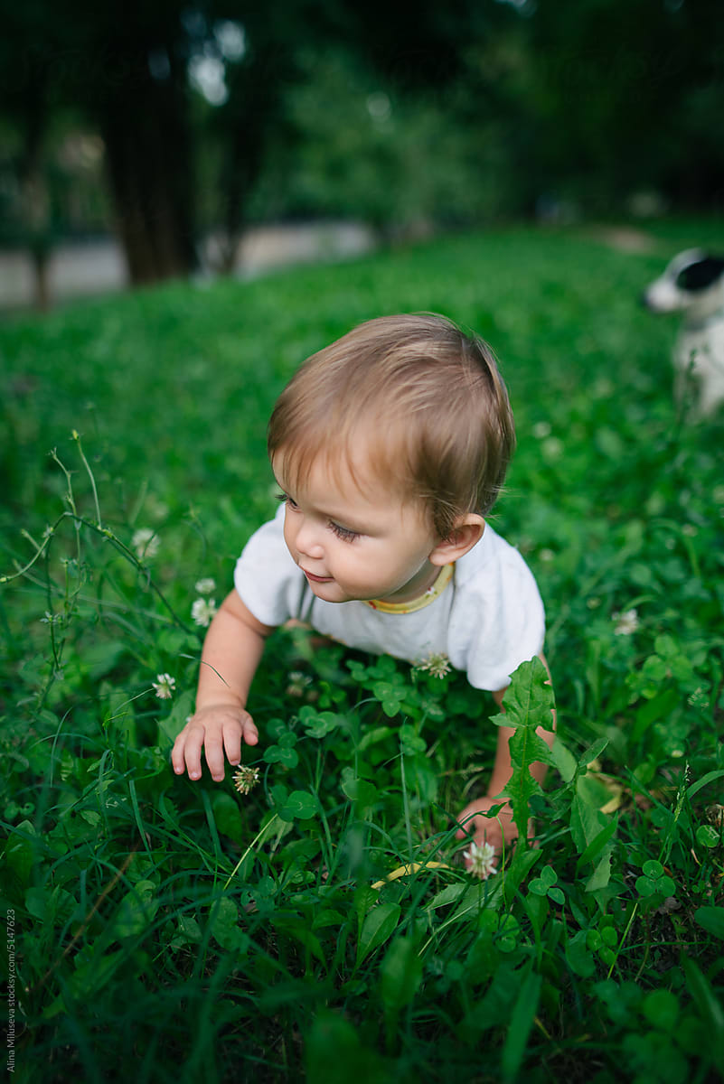 Baby boy crawling on green grass