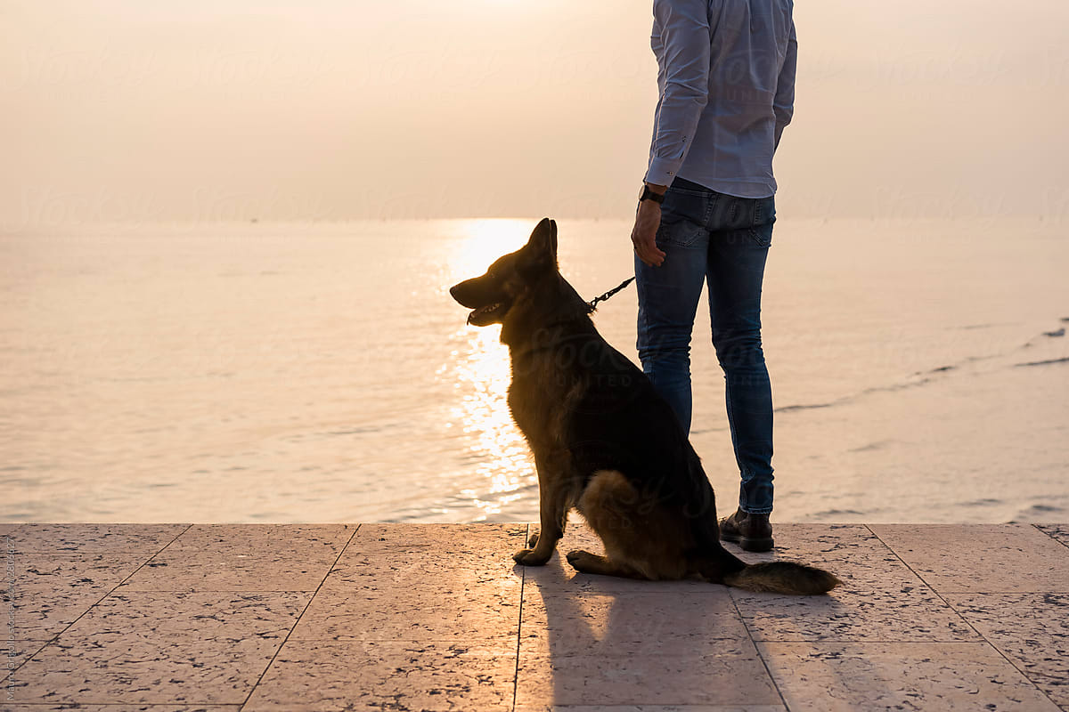 Silhouette of a man and his dog