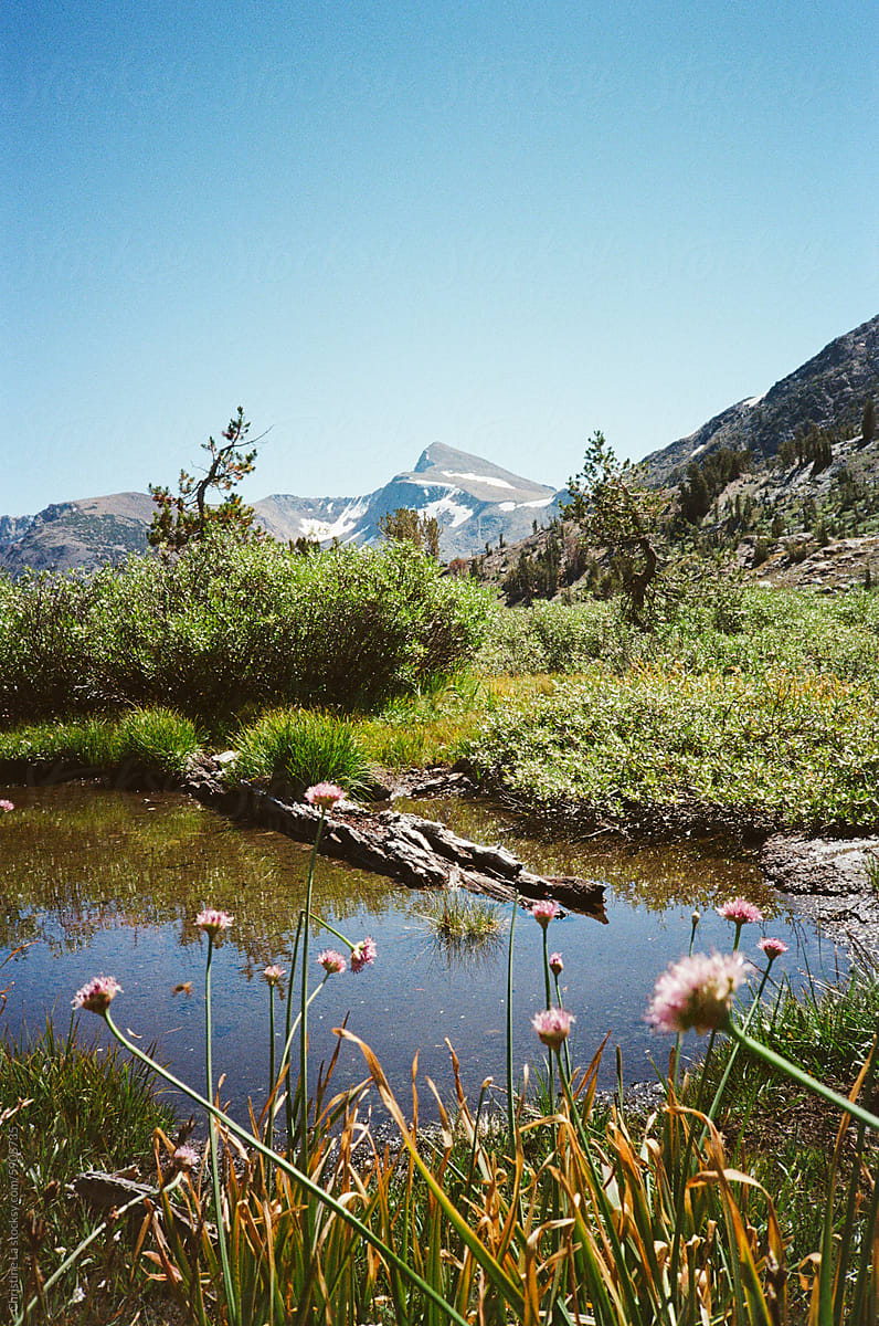 Mount Dana, California on Film