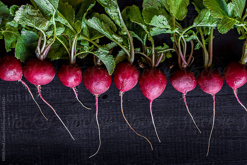 Radishes in line on a black wooden table