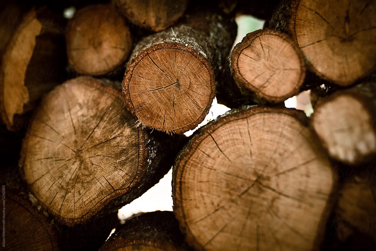 Stacked Firewood With Creative Focus By Stocksy Contributor Alison