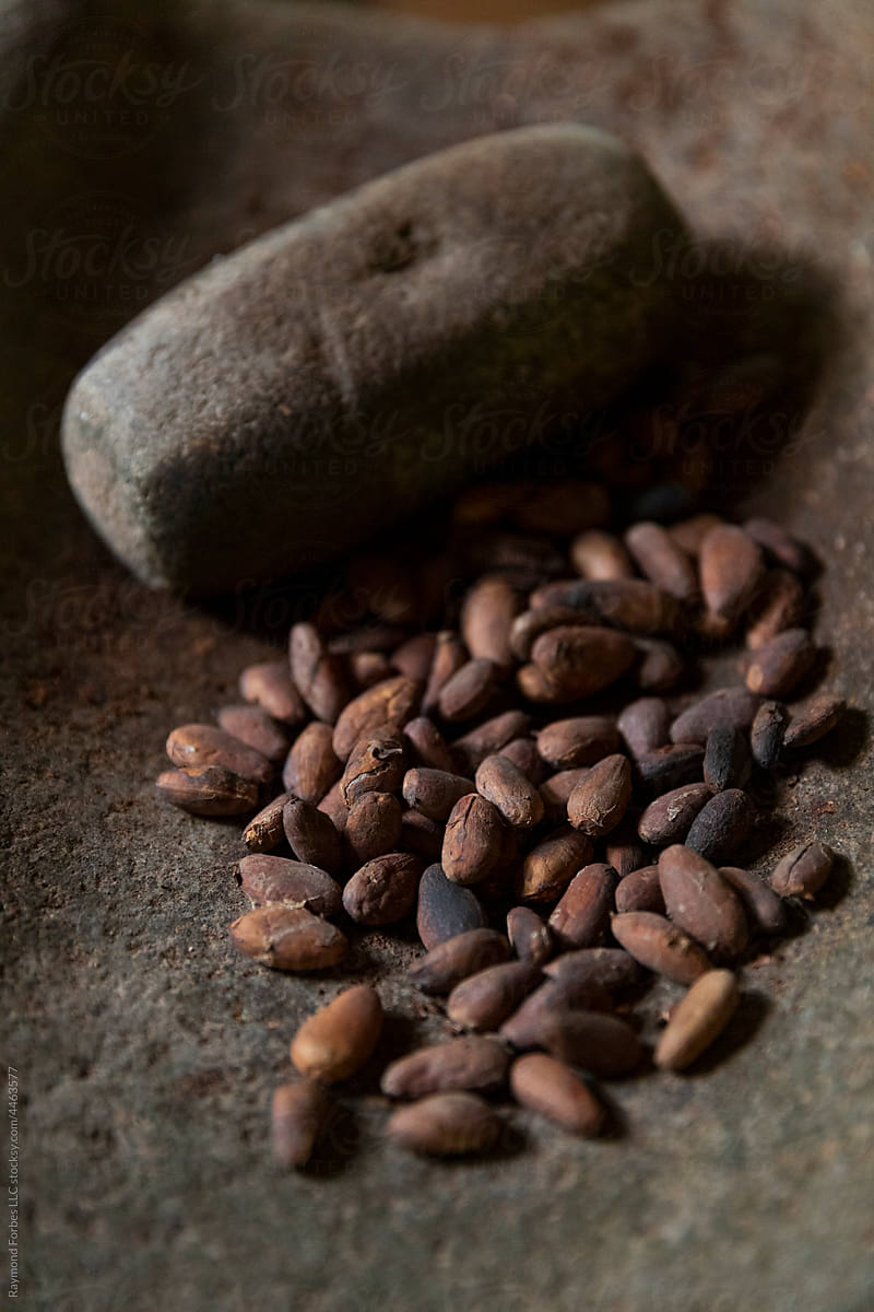 Cocoa with cacao Seeds and stone grinder