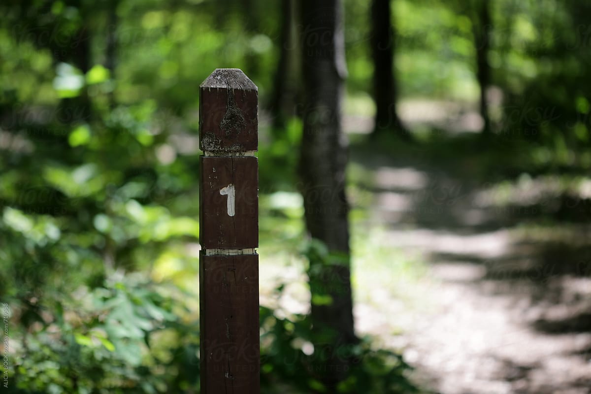 A Trail Marker On A Wooded Path