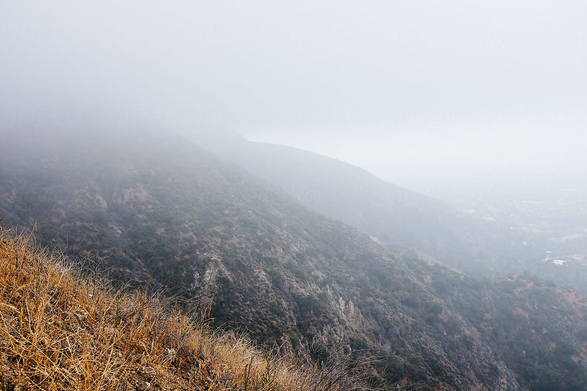 Foggy views over Los Angeles from hillside