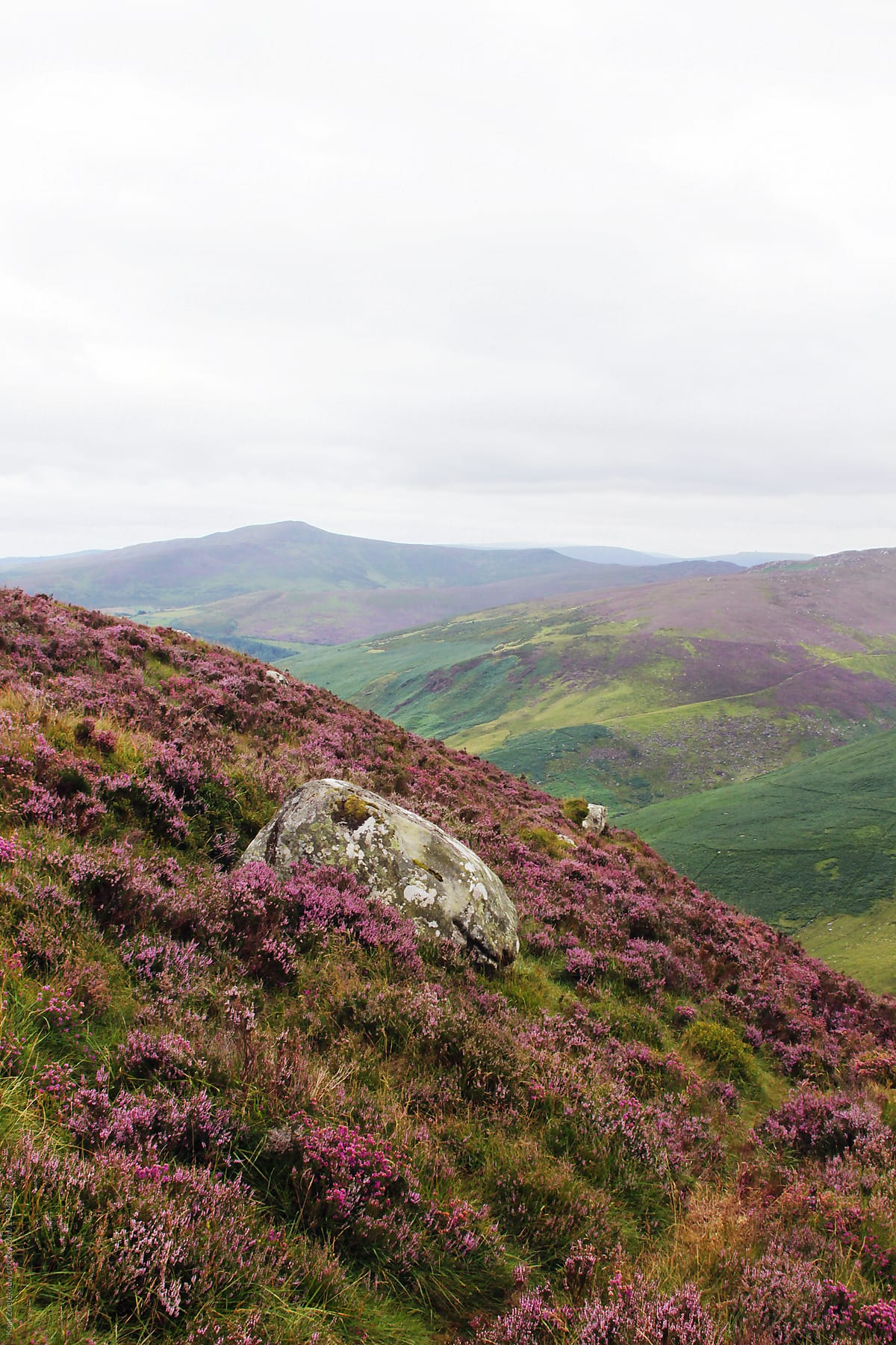 The beautiful colorful landscape of Wicklow Mountains National Park, Ireland, on an overcast day