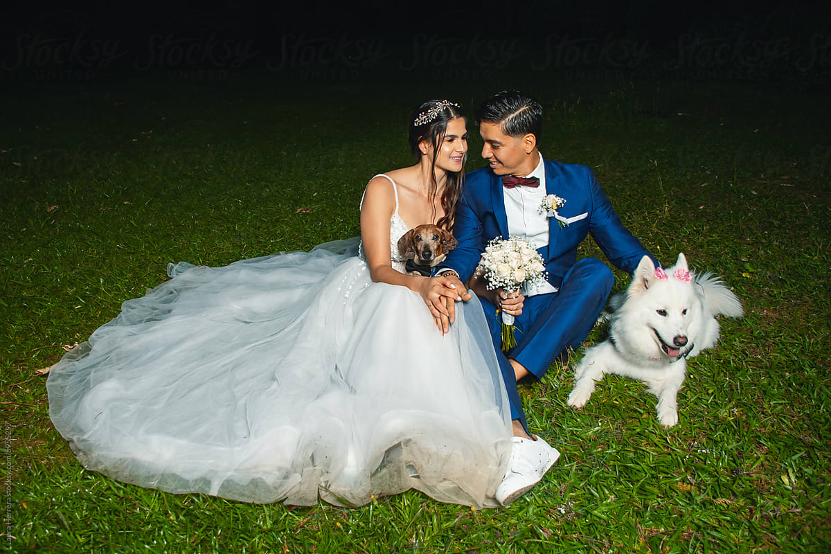 Newlyweds with Samoyed and Dachshund Ring Bearers Sitting on Grass