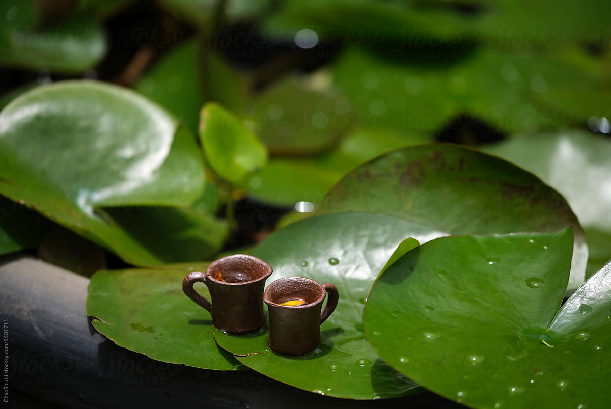 Closeup extra tiny mini ceramic mug on a lotus leaf outdoors