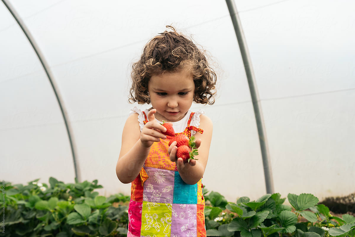 Portrait of little girl eating strawberries