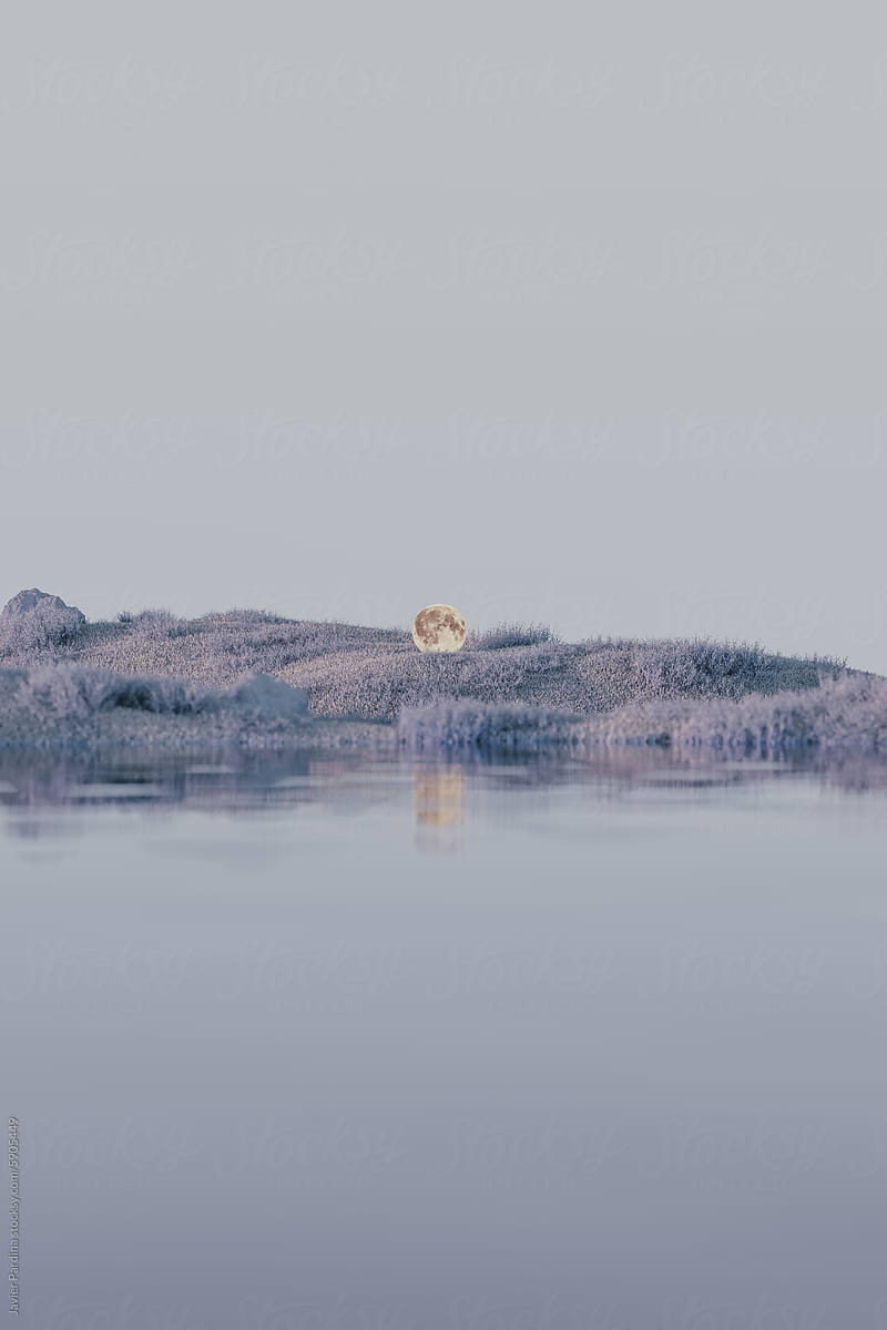 A Moon Roaming Through Landscapes
