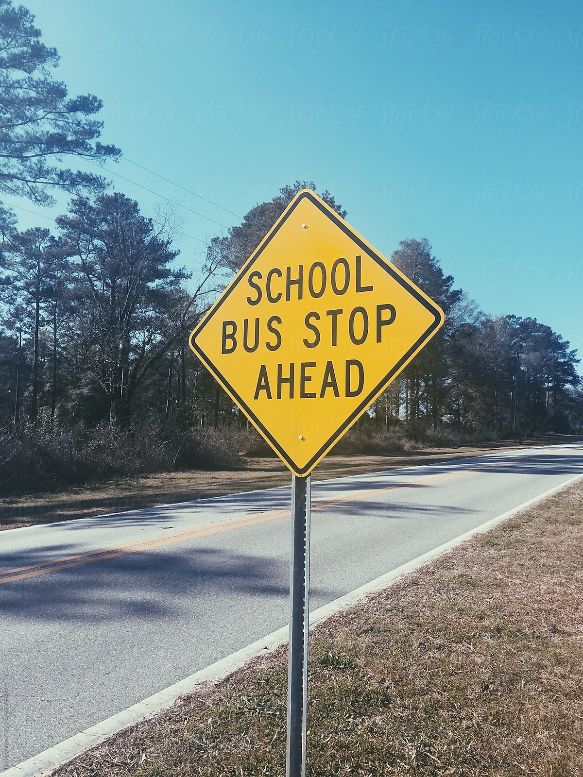Yellow road sign saying School bus ahead
