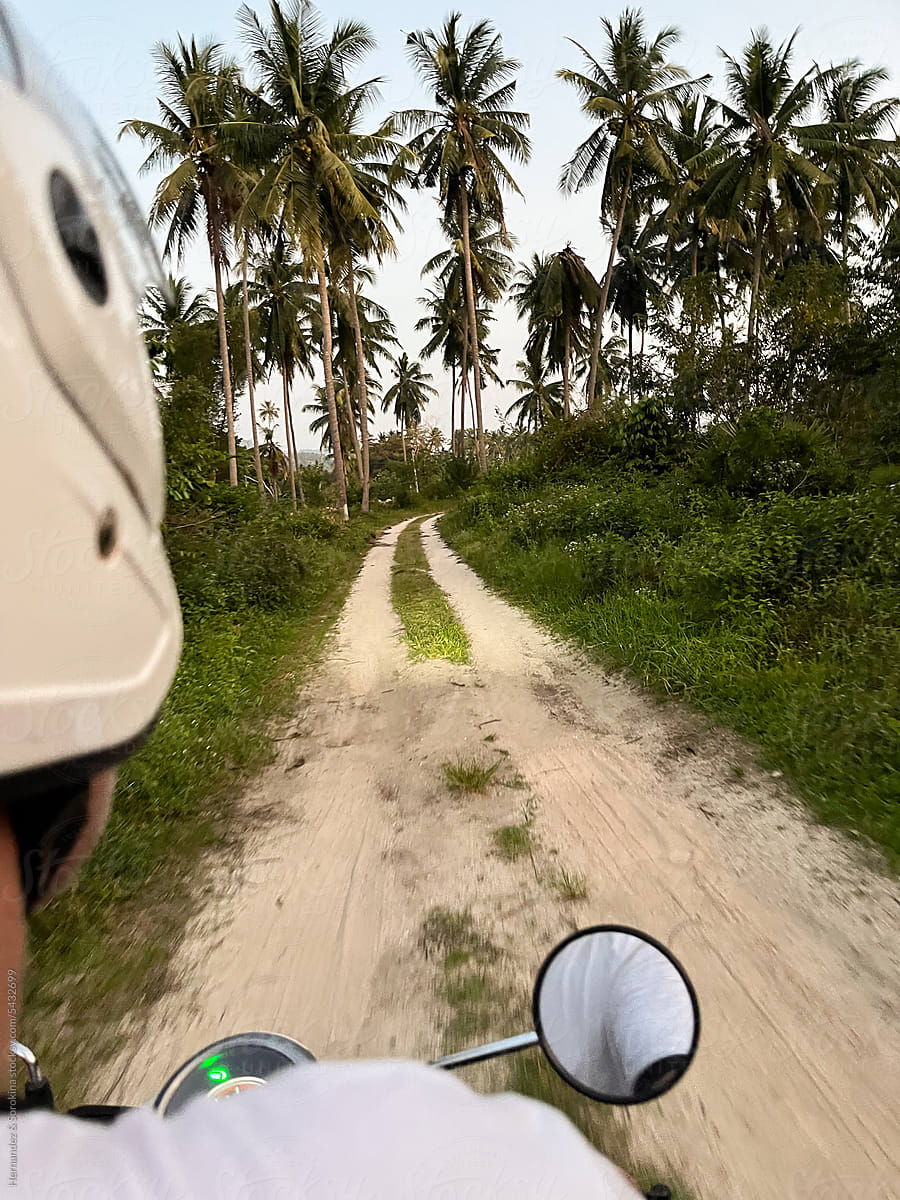 View Of The Path With Palm Trees From Motorbike Passenger Seat
