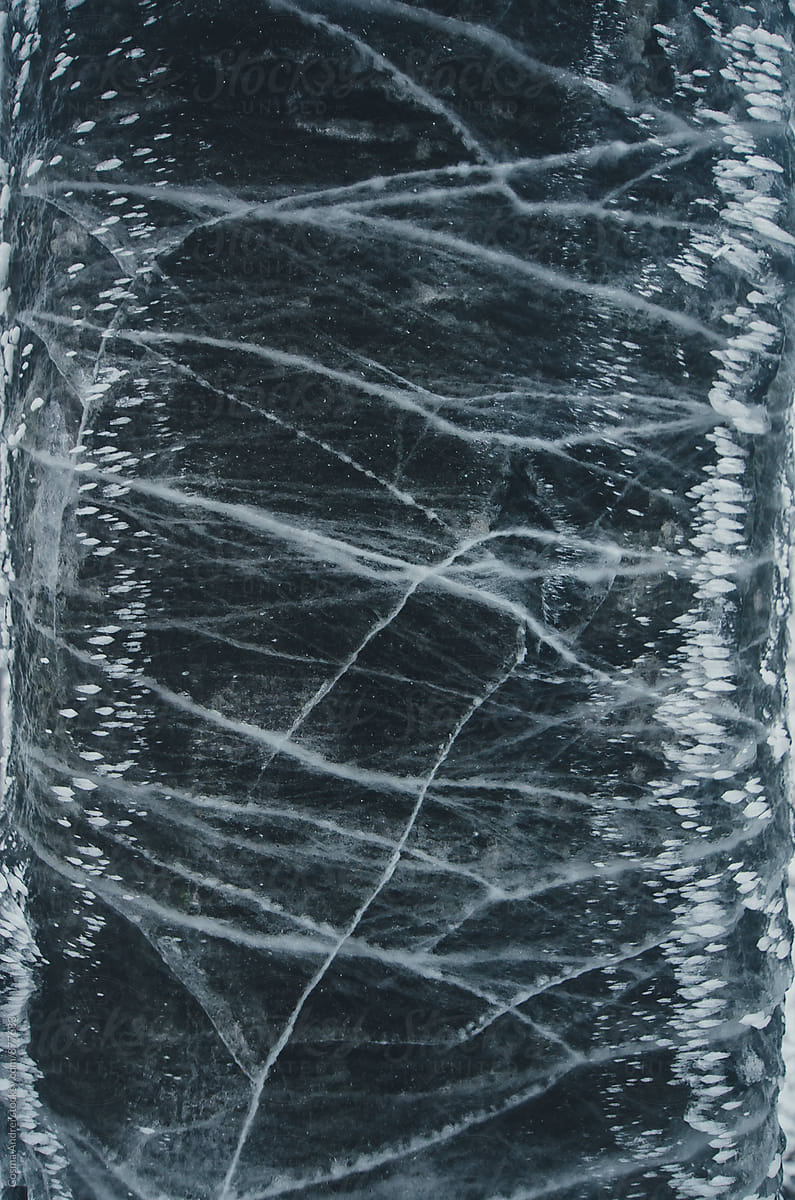 Abstract ice lines texture on tree