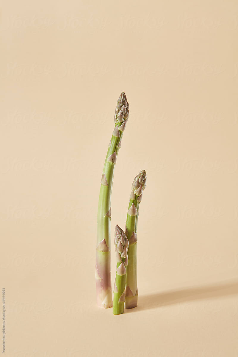 Vertical bunch of organic asparagus.