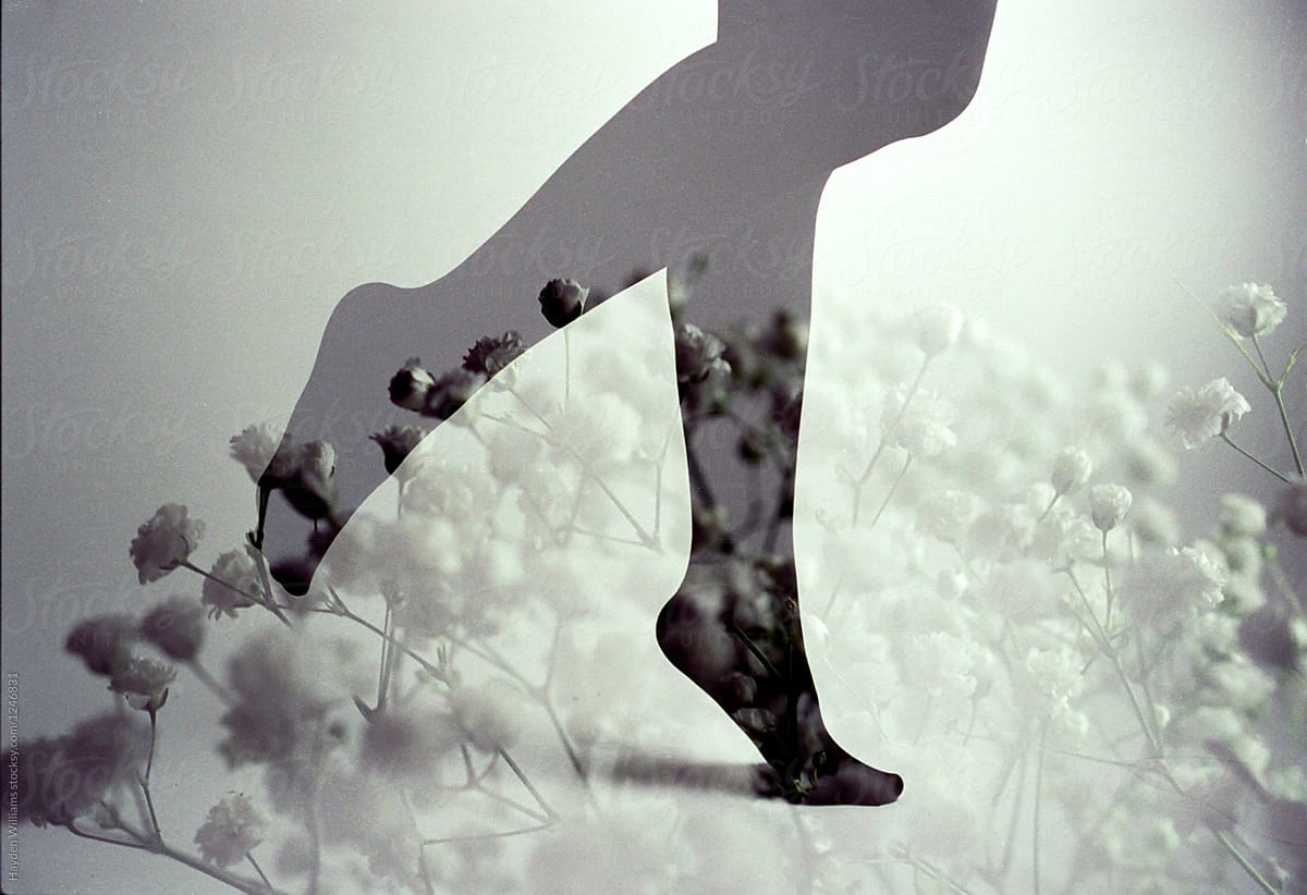 Woman's legs in stockings standing in field of flowers