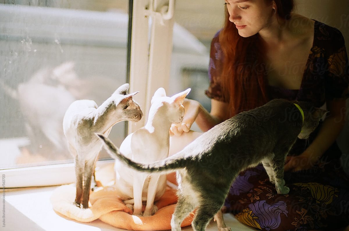 Young woman among cats