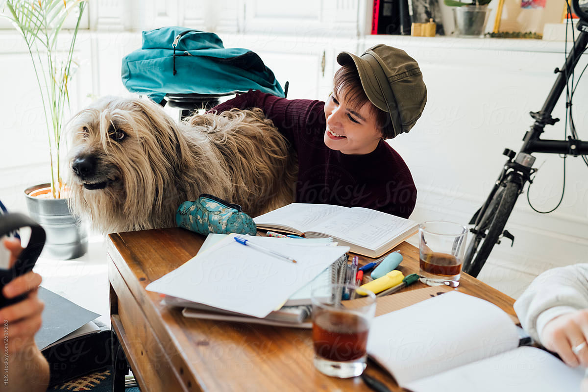 Smiling Woman Playing With Dog While Studying At Home