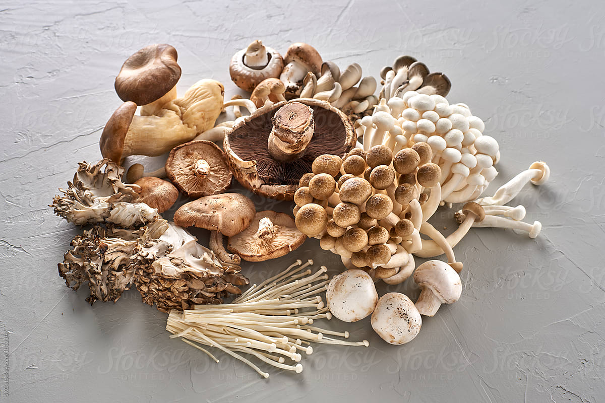 mushroom cultivation training by government karnataka