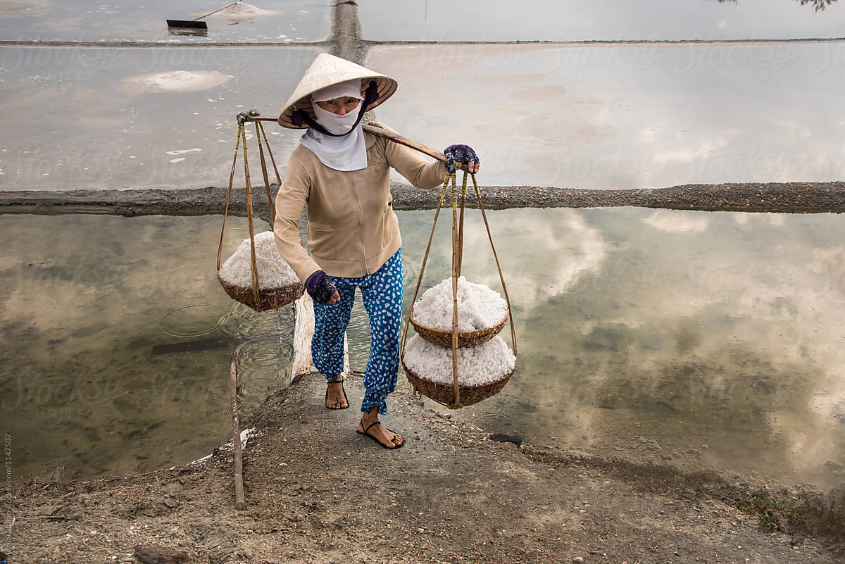 Worker transporting salt in Vietnam