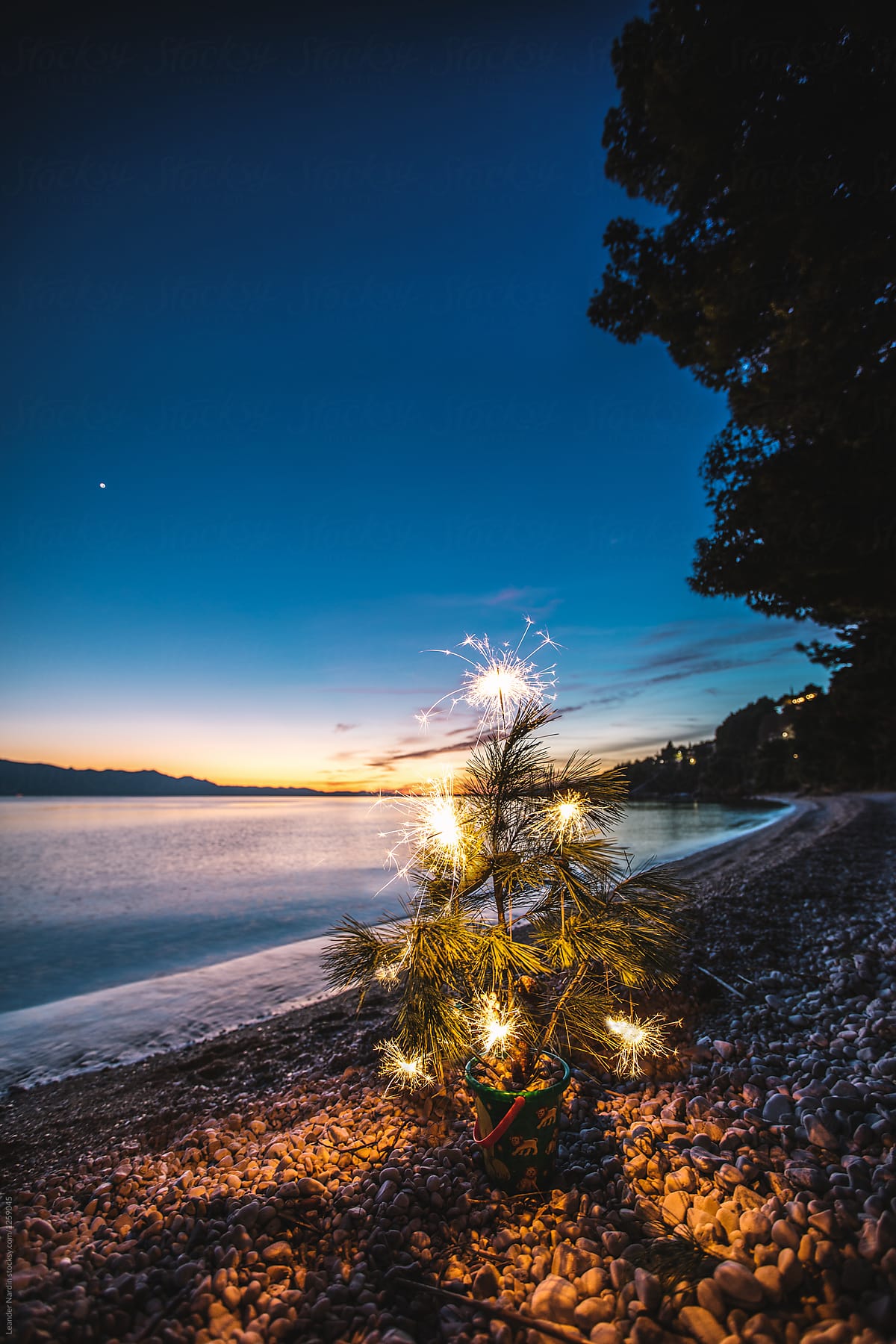 sparkling branch on a beach at sunset used as a christmas tree