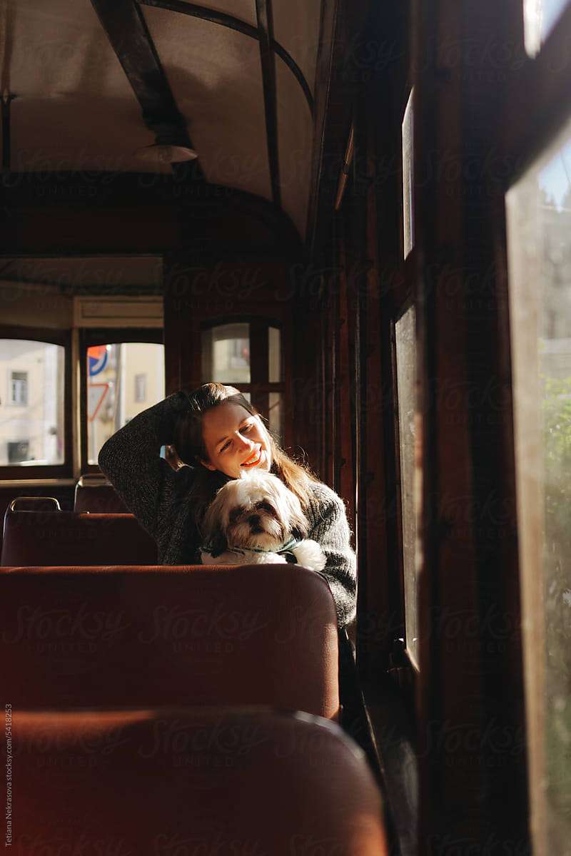 Journey with a shih tzu dog on a retro train in Portugal