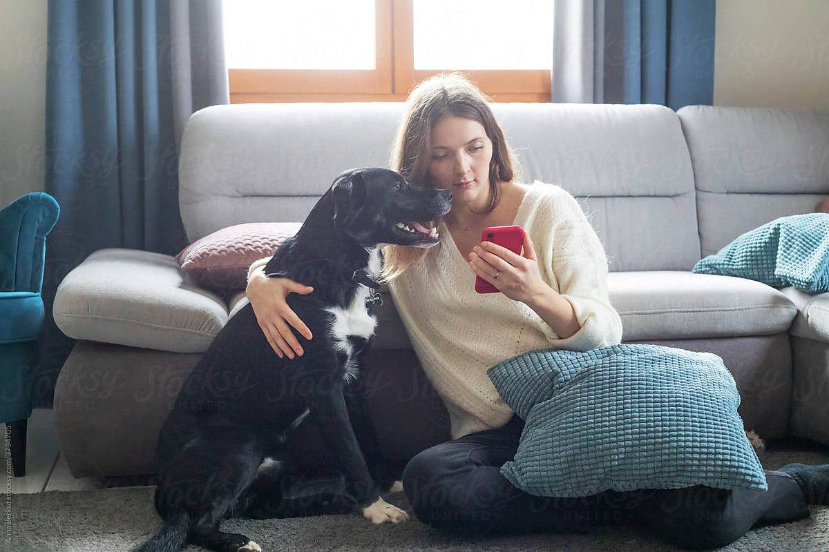 woman and dog looking at smartphone screen at home, online shopping