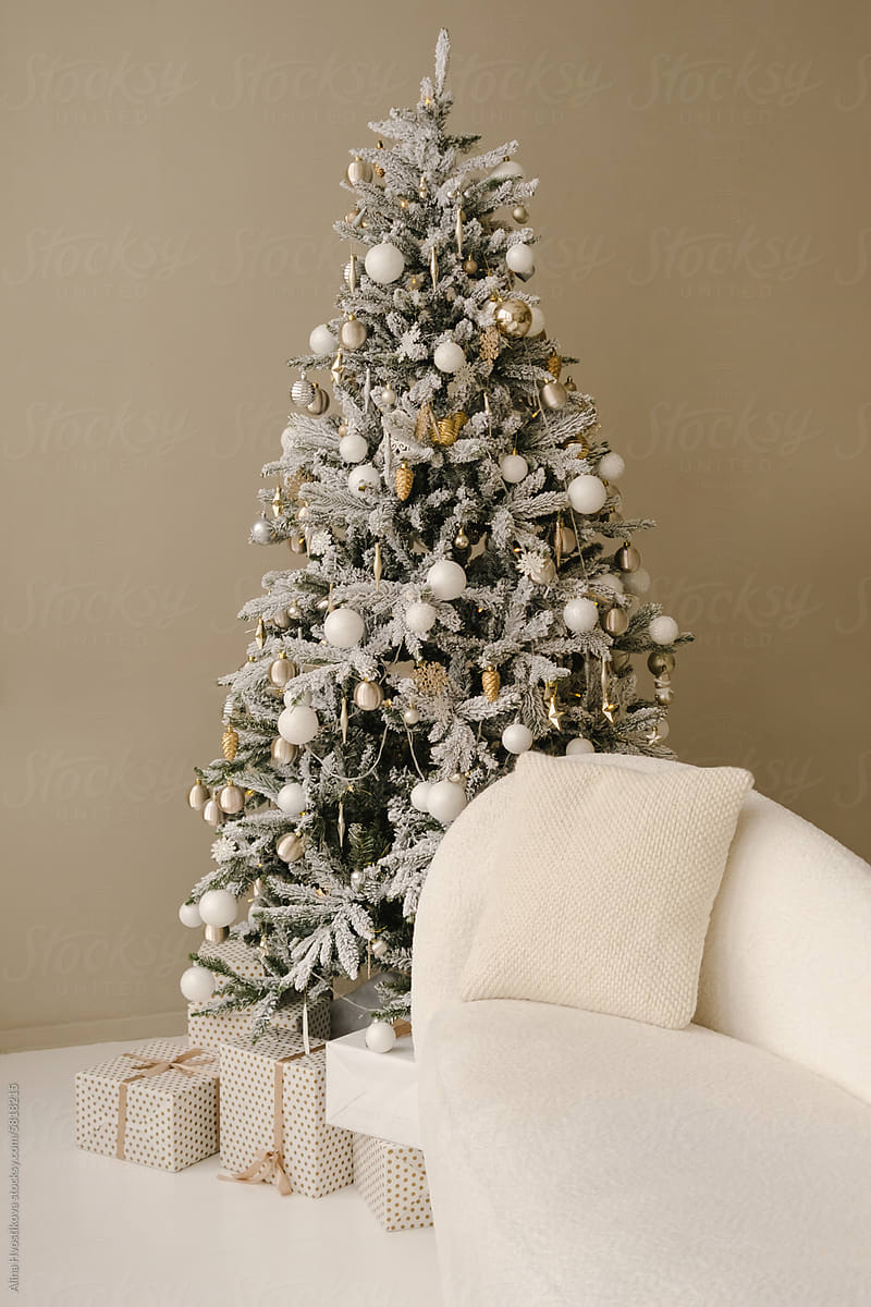 Interior of room with Christmas tree and comfortable couch at winter