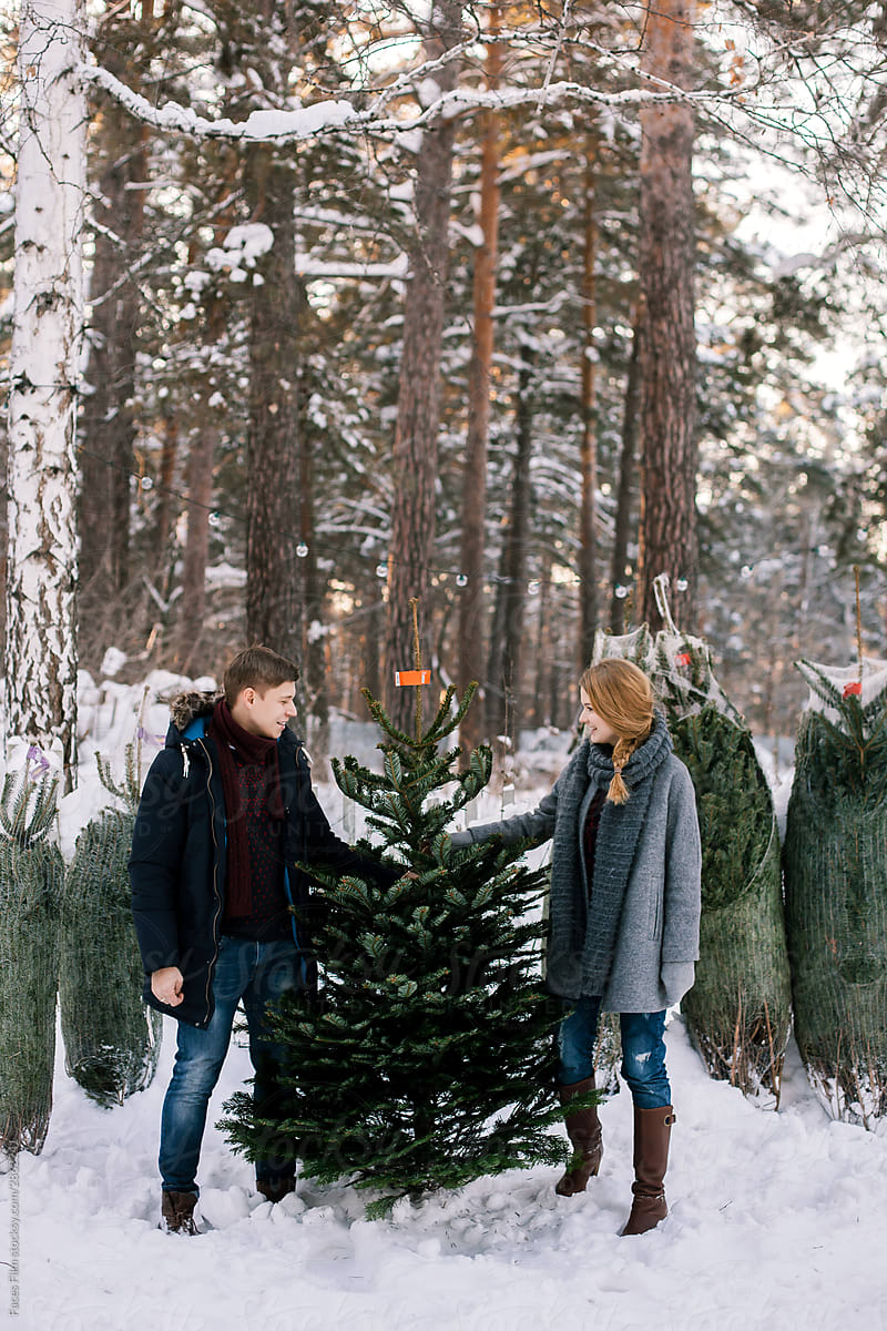 Young family choises new yera and christmas tree on the street fair with trees