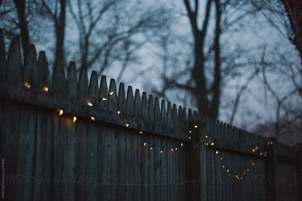 Twinkle lights shine out on a foggy winter evening along an old wooden fence